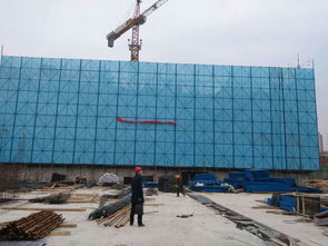 绿色外架钢板防护网 安全、环保与高效施工的守护者